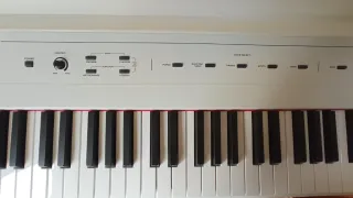 Piano Eléctrico Alesis Recital + Soporte