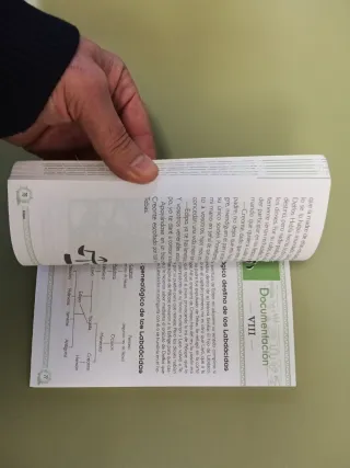 Edipo (Para Descubrir a Los Clasicos) (Spanish ...