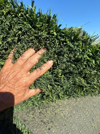 Césped artificial reciclado de campo de fútbol