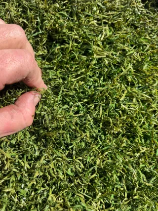 Césped artificial reciclado de campo de fútbol