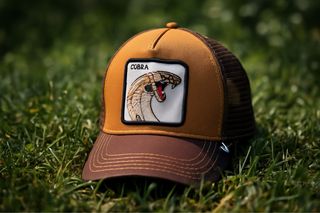 Cappellino Goorin Bros Cobra Trucker Beige Marrone