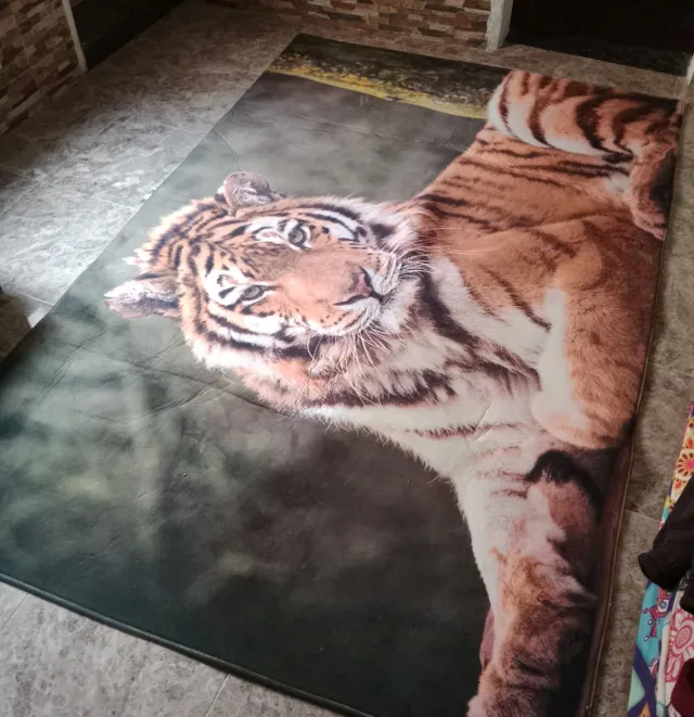 Alfombra (155x242cm)