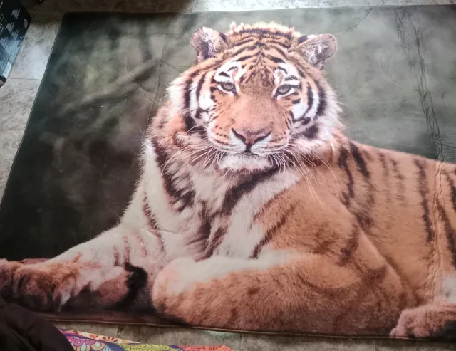 Alfombra (155x242cm)