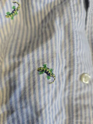 Camisa Ralph Lauren Rayas Verdes T3