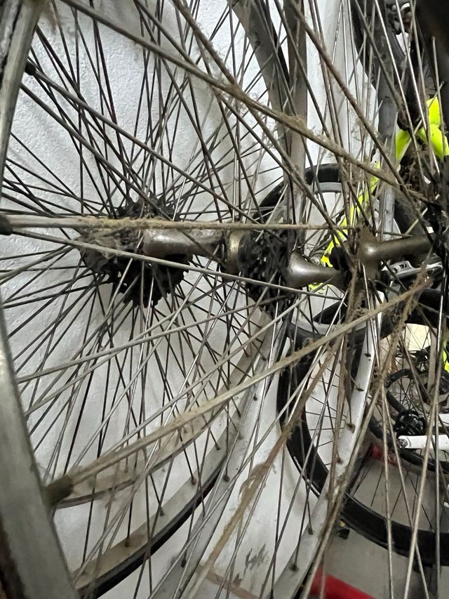 Vendo cuadros bicicletas clasicas y mucho recambio