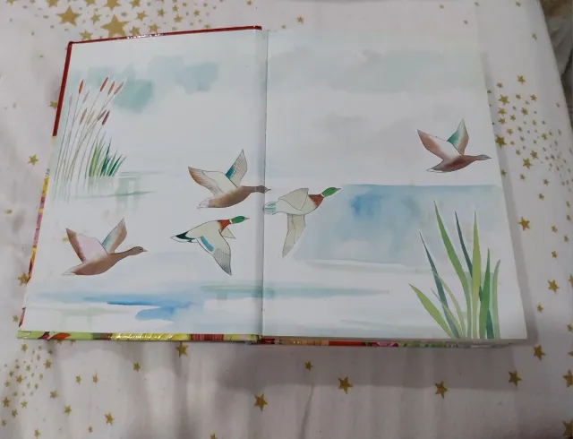 Cuentos de Grimm (Cuentos maravillosos para ant...