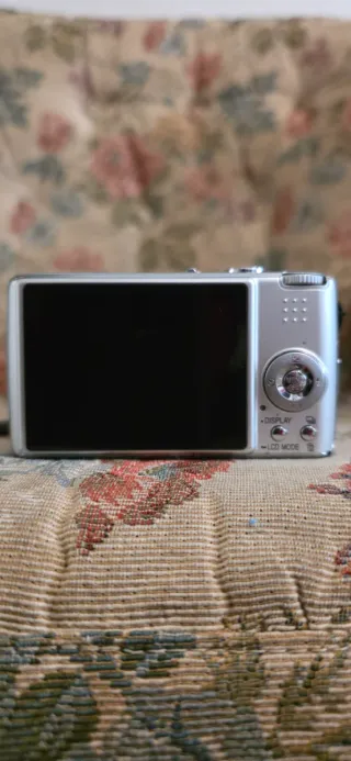 Panasonic Lumix FX01 Argento