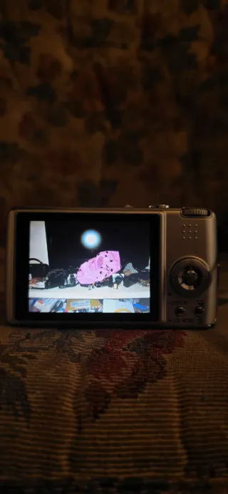 Panasonic Lumix FX01 Argento