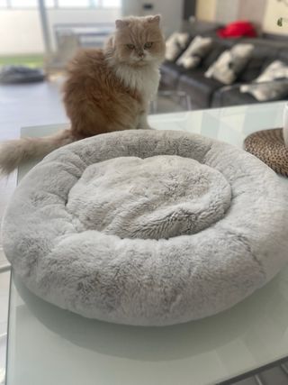 Cama para mascotas IKEA UTSAAD S