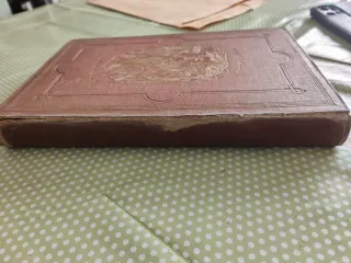 Histoire d'un paysan 1870