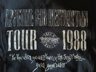Camiseta Guns N Roses Appetite For Destruction