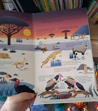 El libro de los animales de la sabana