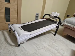 Cinta de andar iWalk