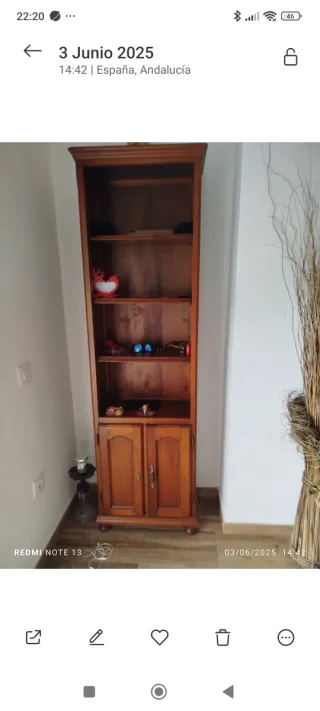 Librería de madera marrón