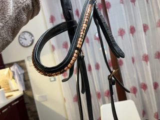 Testiera cavallo con strass