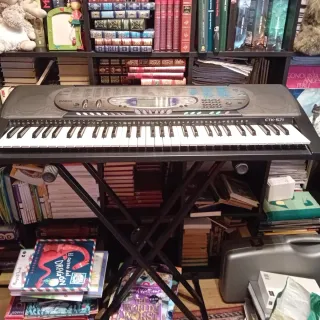 Órgano Casio CTK-571