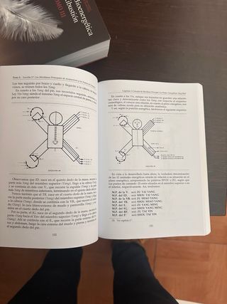 acupuntura bioenergetica y moxibustion cemetc