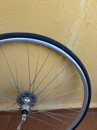 Rueda Trasera Gurpil Rígida