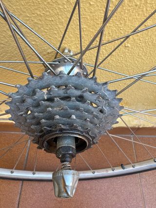 Rueda Trasera Gurpil Rígida