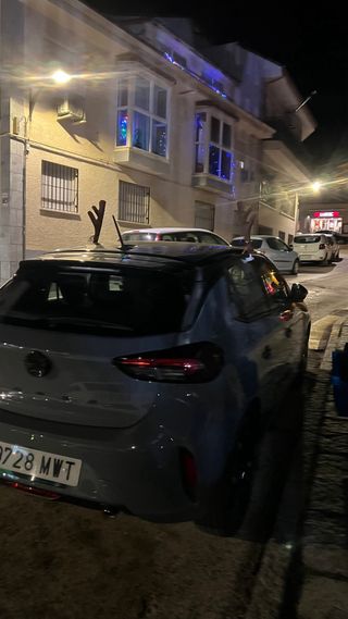 disfraz de reno para coche (universal)