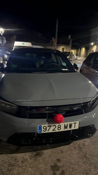 disfraz de reno para coche (universal)