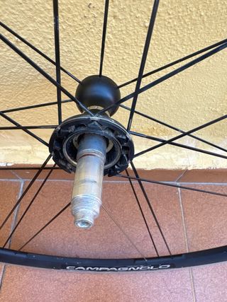 Rueda trasera Campagnolo Eurus G3
