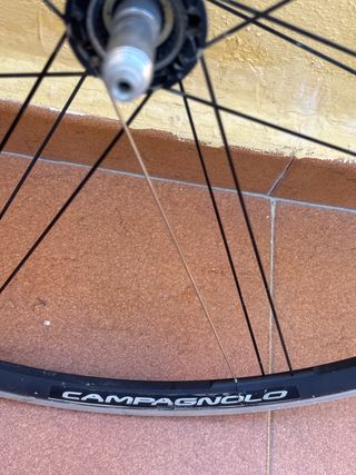 Rueda trasera Campagnolo Eurus G3