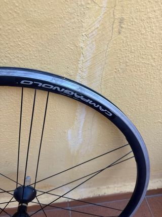 Rueda trasera Campagnolo Eurus G3