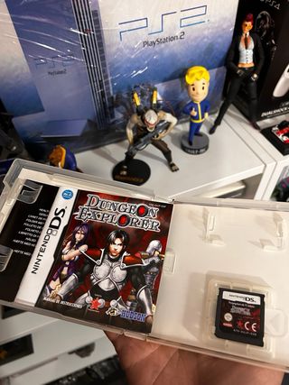 Dungeon Explorer Nintendo DS RPG