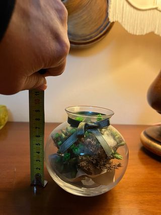 Terrario fiori secchi decorativo