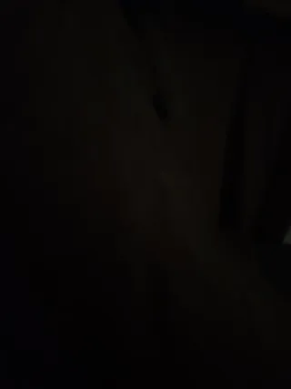 Cesta para bici infantil dinosaurio