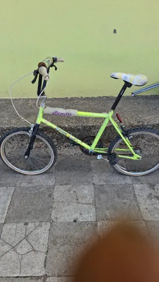 Bicicleta orvea verde