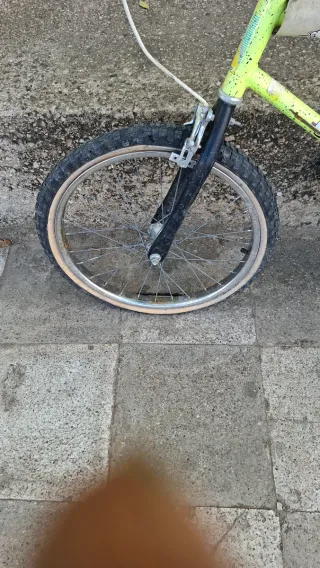 Bicicleta orvea verde