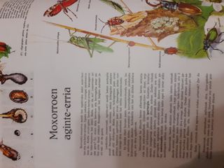 Libro izadiaren mundua nº 9