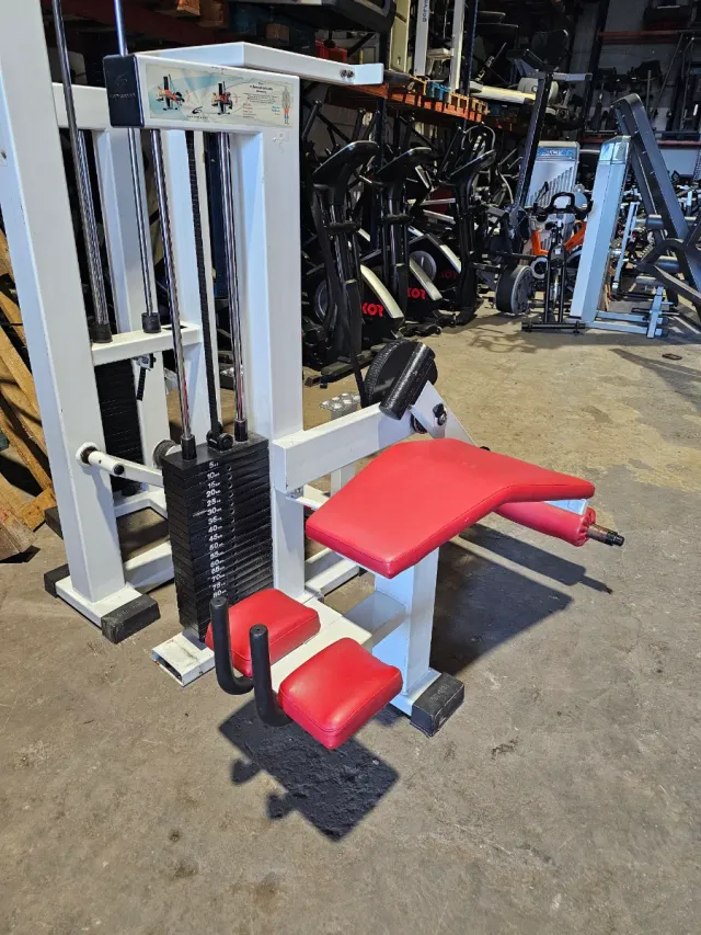 GervaSport Femoral Tumbado