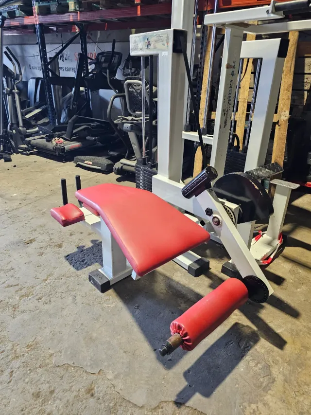 GervaSport Femoral Tumbado