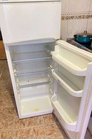 Regalar Nevera Edesa Práctica Blanca