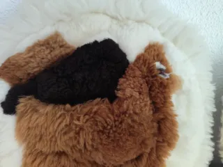 Cojín redondo pelo llama marrón y blanco