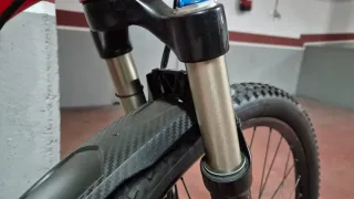 Specialized Stumpjumper 29