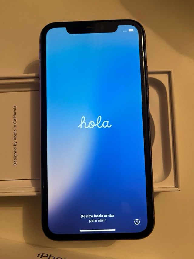 iPhone 11 Viola