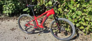 Bicicleta Eléctrica Orbea Wild Talla L