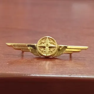 Spilla Aquiletta Aeronautica Militare