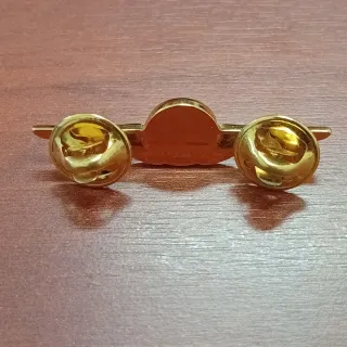 Spilla Aquiletta Aeronautica Militare