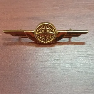 Spilla Aquiletta Aeronautica Militare