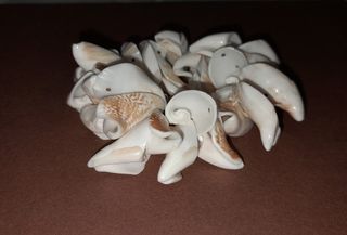 Pulsera de caracolas blancas y marrones