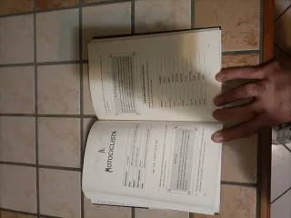 Il Playbook How I Met Your Mother