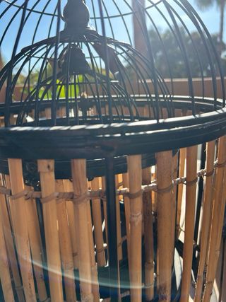 Set de 3 Jaulas Bambú