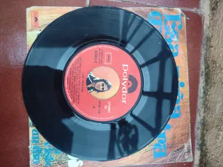 Lote 2 Vinilos Los Puntos