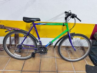 Bicicleta Montaña Anlen Cougar Talla XL