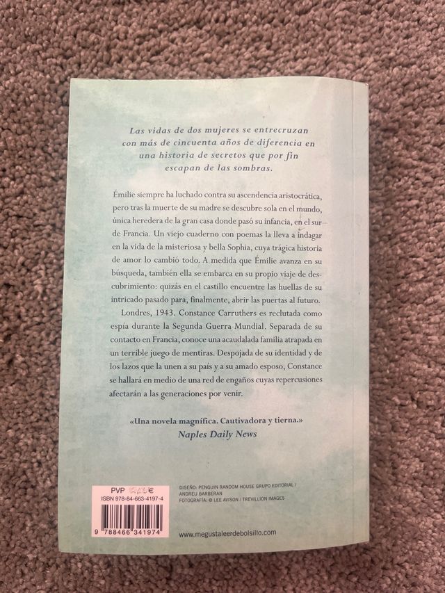 La luz tras la ventana (Spanish Edition)